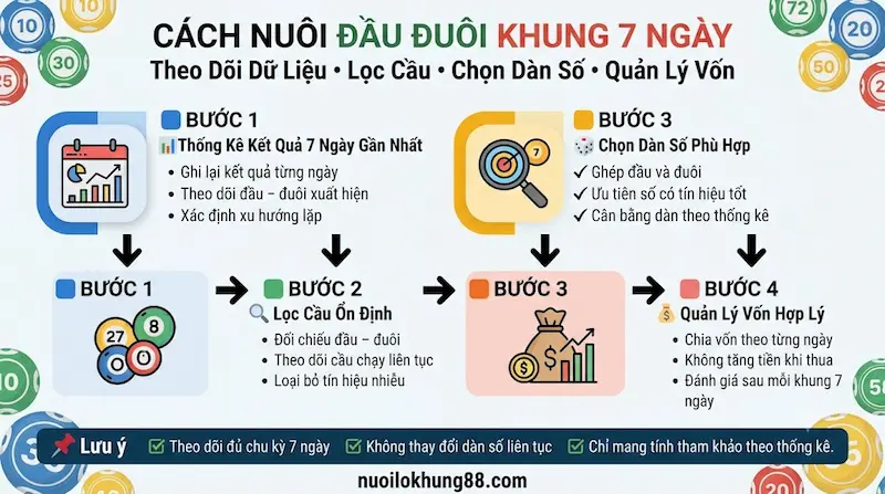 Quy trình nuôi đầu đuôi khung 7 ngày gồm thống kê kết quả, lọc cầu ổn định, chọn dàn số và quản lý vốn hợp lý