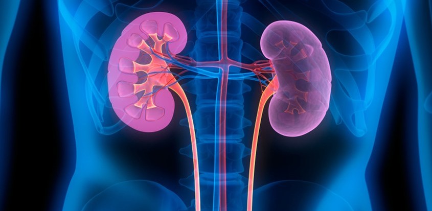 suy thận và các dáu hiệu 