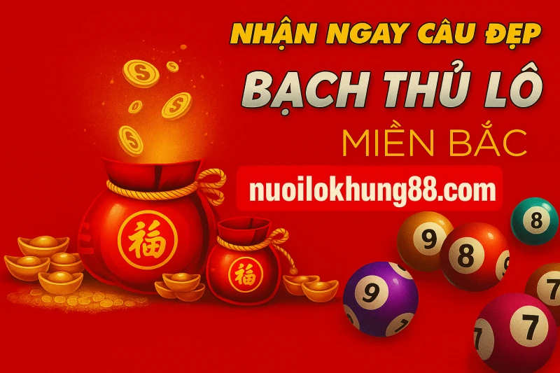 Bạch thủ lô là gì 