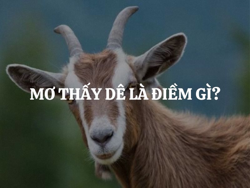 giải mã giấc mơ thấy con dê