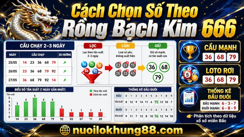 Cách chọn số theo Rồng Bạch Kim 666 dựa trên cầu chạy, thống kê loto và tín hiệu số mạnh miền Bắc