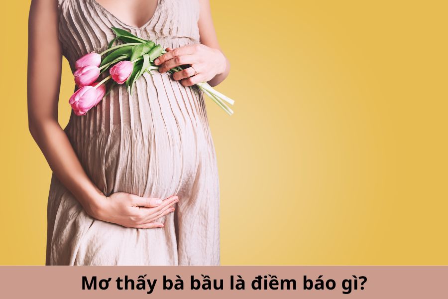 mơ thấy bà bầu đánh con gì