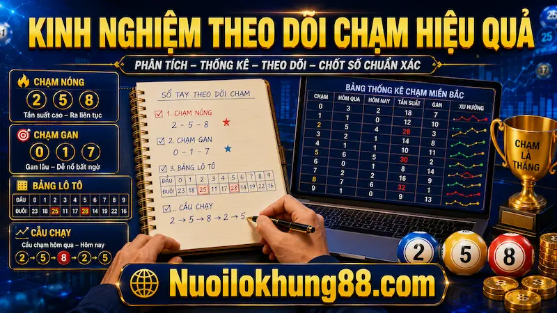 Kinh nghiệm theo dõi chạm đầu đuôi miền Bắc hiệu quả